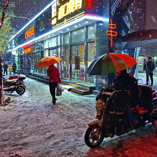 Photo #14156820