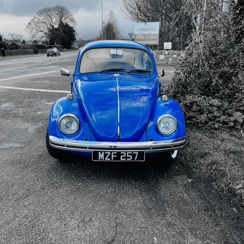 Blue beetle