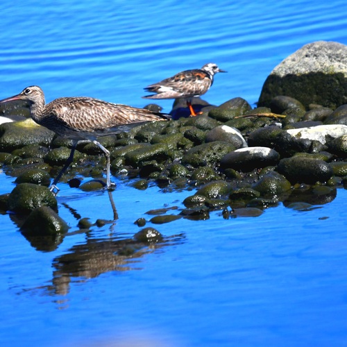 Photo #14157086