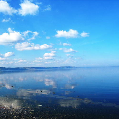 Photo #14157096