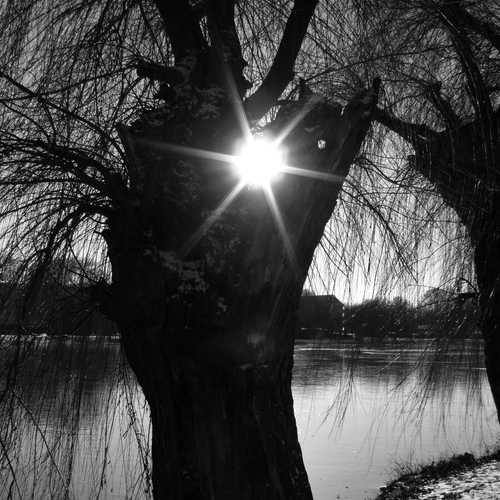 Photo #14157189