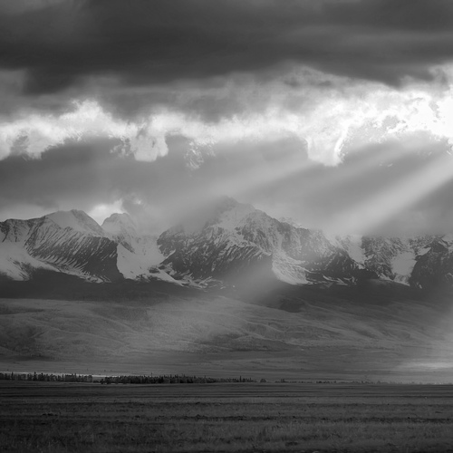 Photo #14157238
