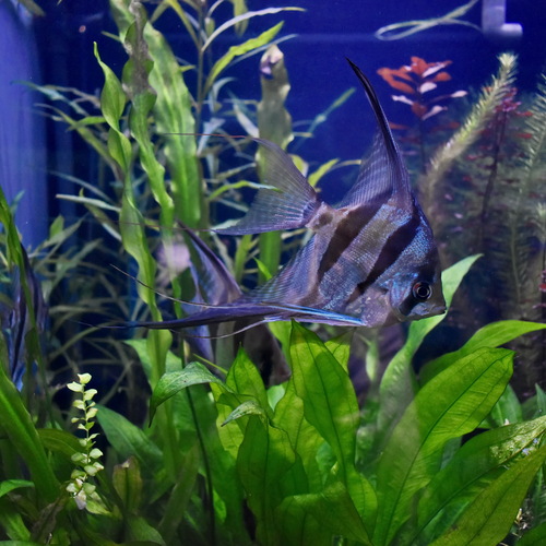 Photo #14157556