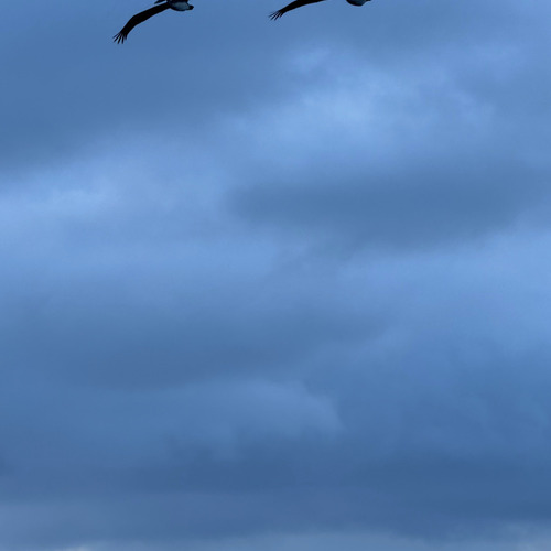 Photo #14157675