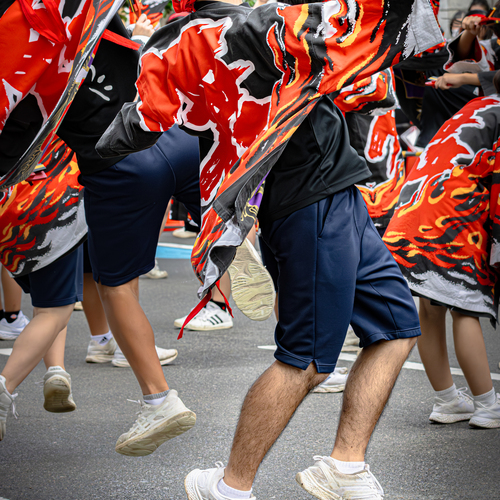 Photo #14157697