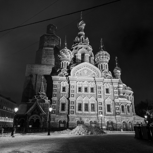 Photo #14157720