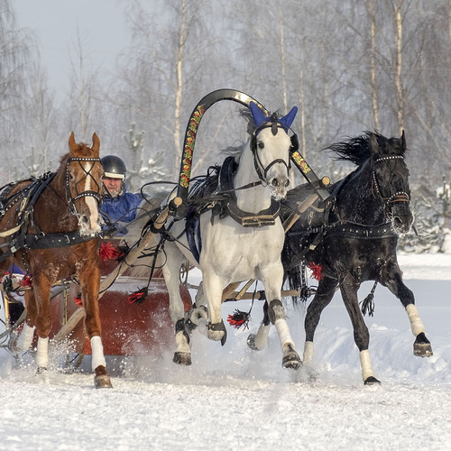 Photo #14157878