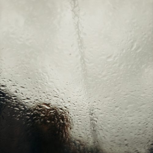 Photo #14157888