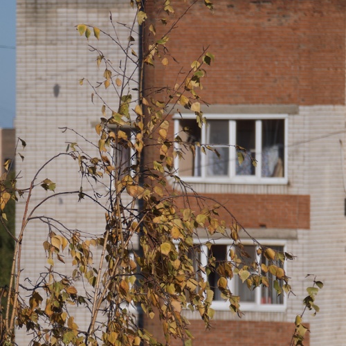 Photo #14157894