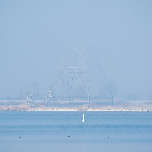 Photo #14158068