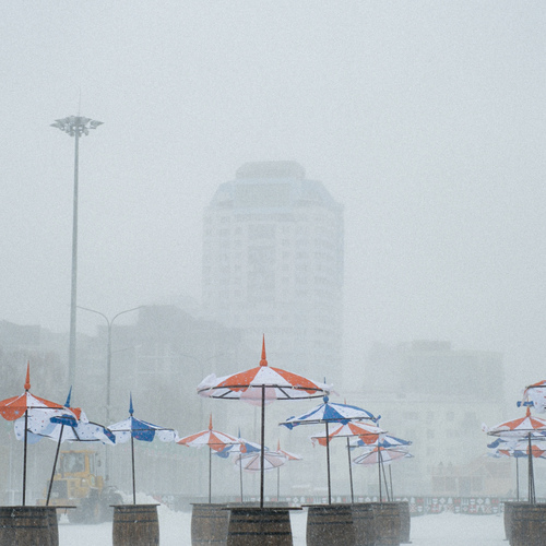 Photo #14158243