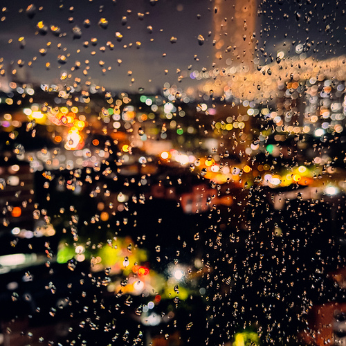 Photo #14158499