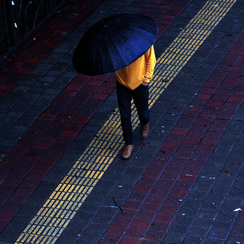 Photo #14158541