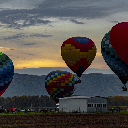 Photo #14158569