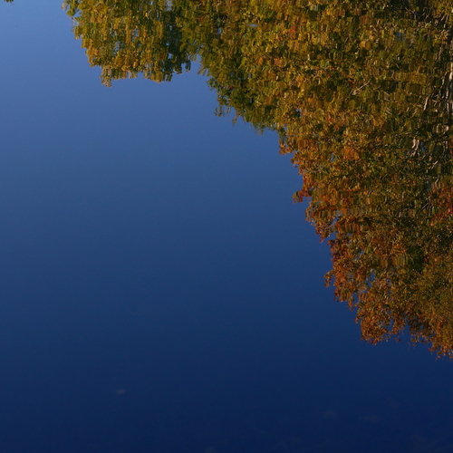 Photo #14158885