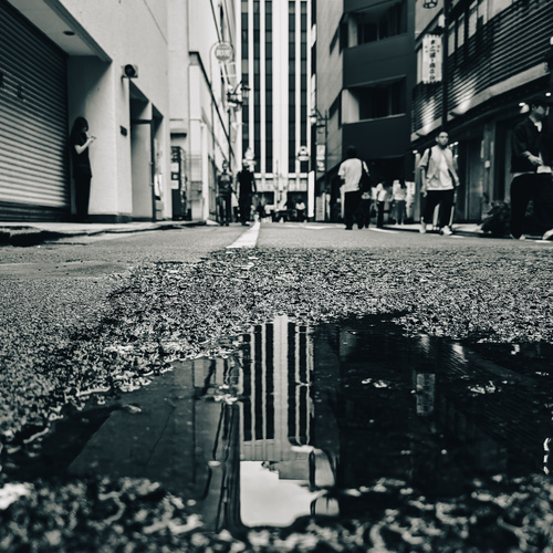 Photo #14159048