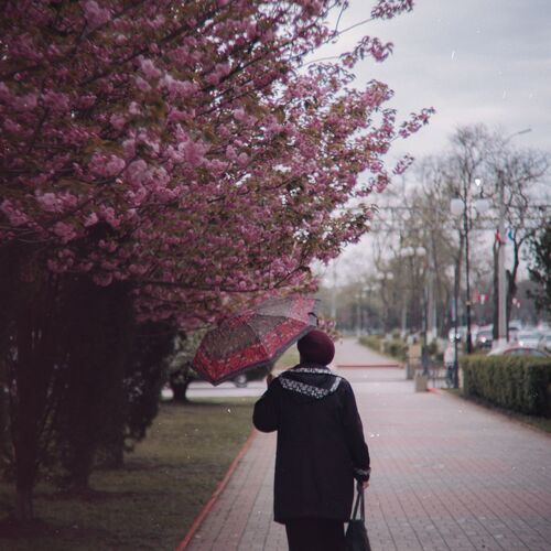 Photo #14159093