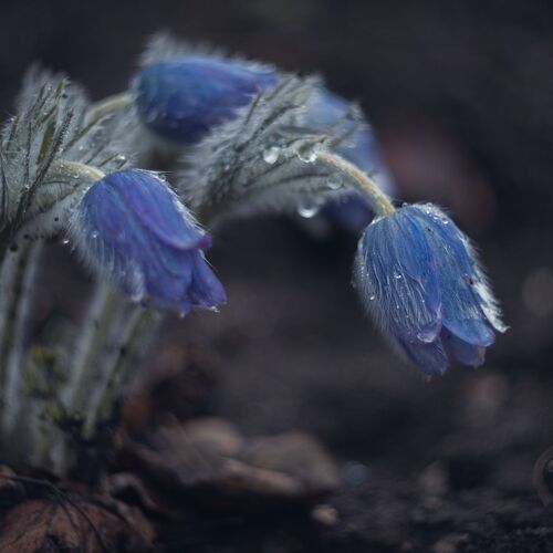 Photo #14159238