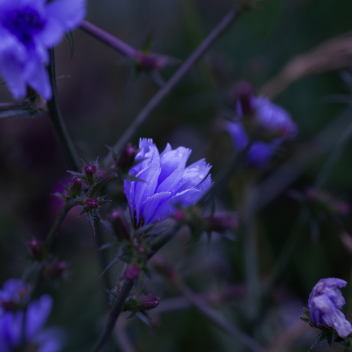 Photo #14159278
