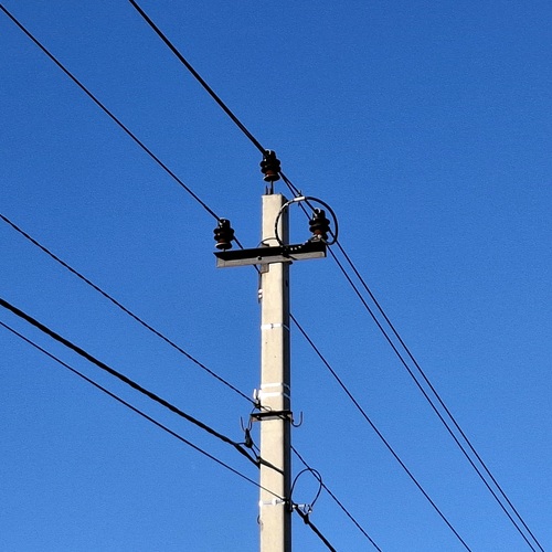 Photo #14159297