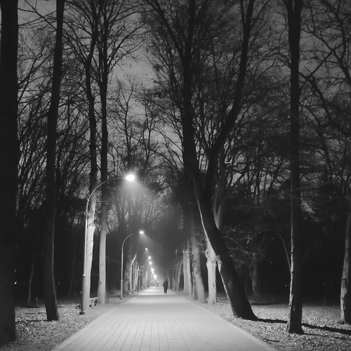 Photo #14159434