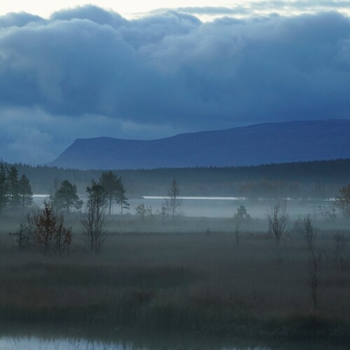 Photo #14159515
