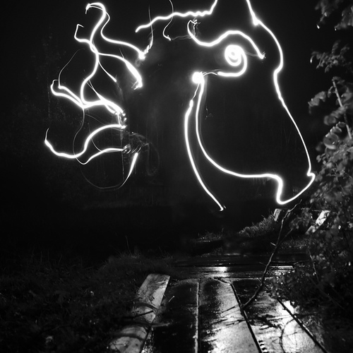 Photo #14159541