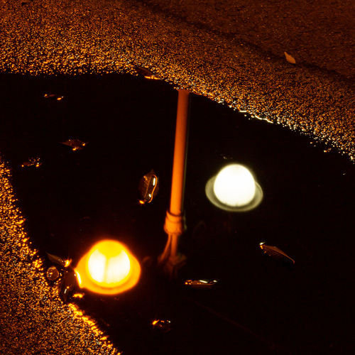 Photo #14159542