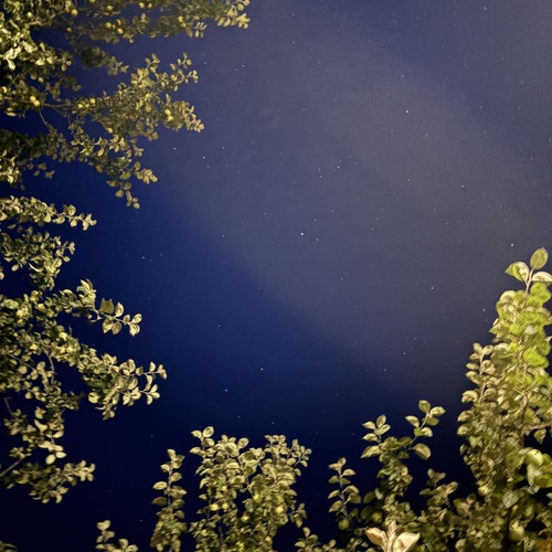Photo #14159734