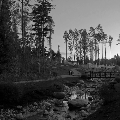 Photo #14159964