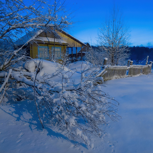 Photo #14160245