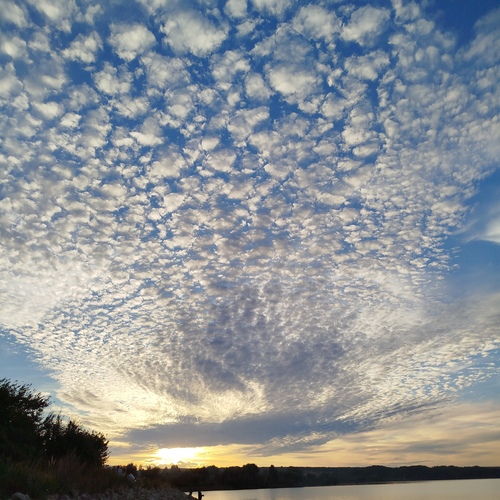 Photo #14160249