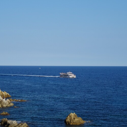 Photo #14160297
