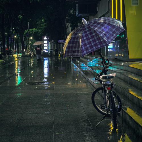 Photo #14160323