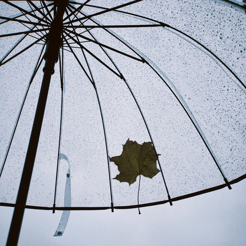 Photo #14160845