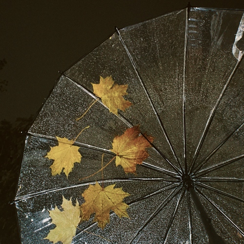 Photo #14160846