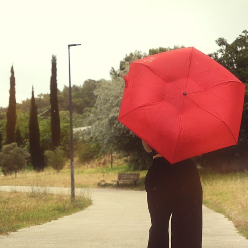 Photo #14161082