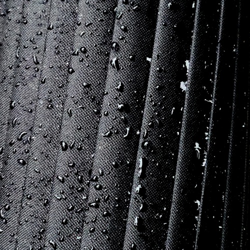 Photo #14161698