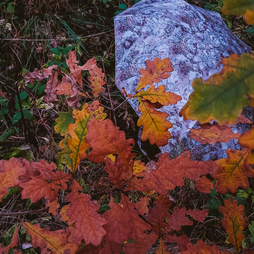 Photo #14161792