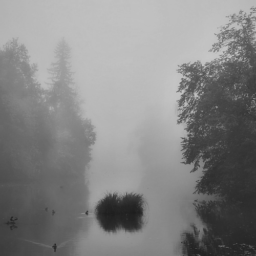 Photo #14161900