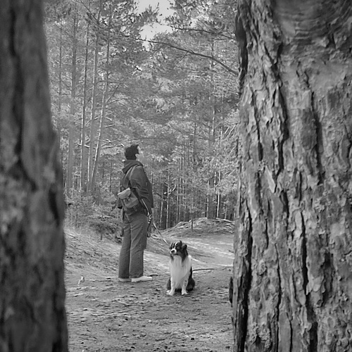 Photo #14161902