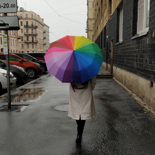 Photo #14162243