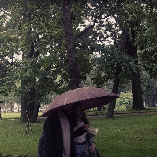 Photo #14162244