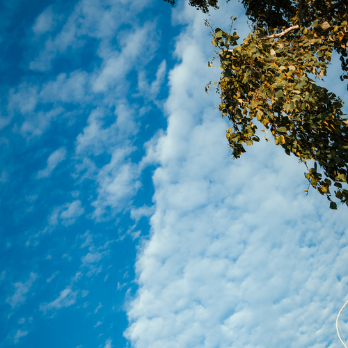 Photo #14162393