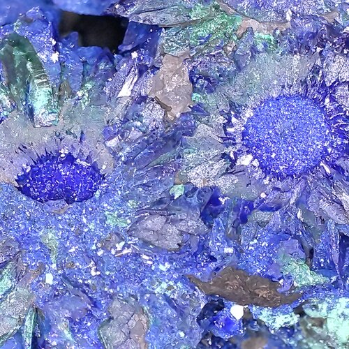 Photo #14162975