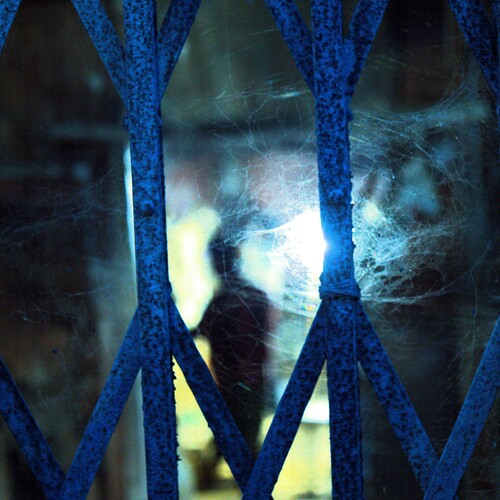Photo #14162997