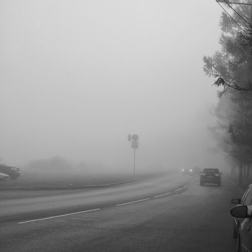 Photo #14163082