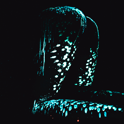 Photo #14163266