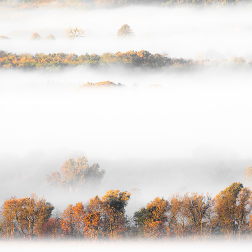 Photo #14163686