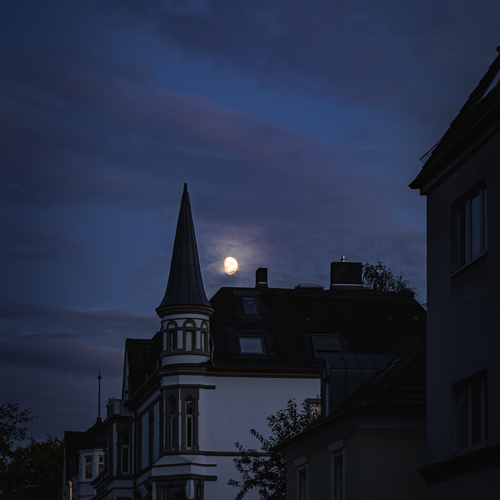 Photo #14164158